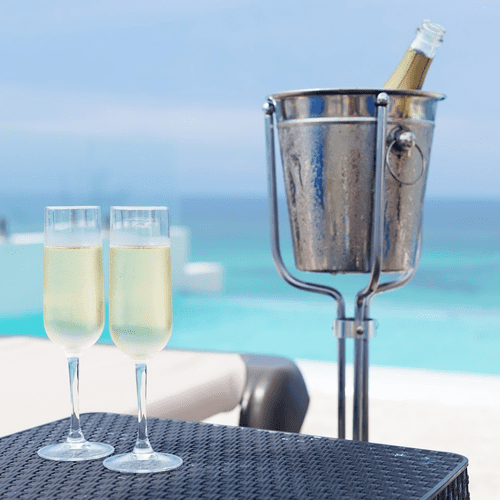 Champagne & Wine Bucket Stand