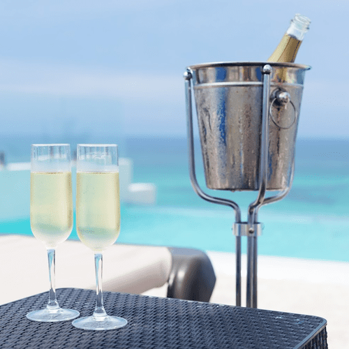 Champagne & Wine Bucket Stands